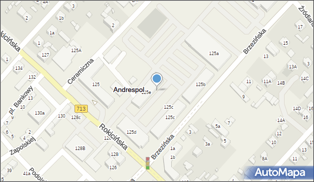Andrespol, Rokicińska, 125e, mapa Andrespol