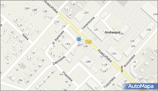 Andrespol, Rokicińska, 130, mapa Andrespol