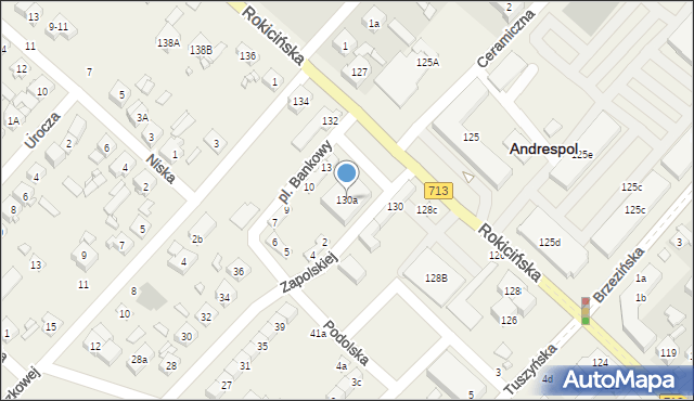 Andrespol, Rokicińska, 130a, mapa Andrespol