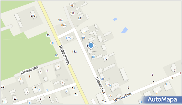 Kraszew, Rokicińska, 81A, mapa Kraszew