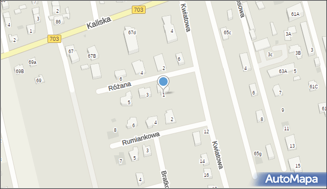 Łęczyca, Różana, 1, mapa Łęczyca