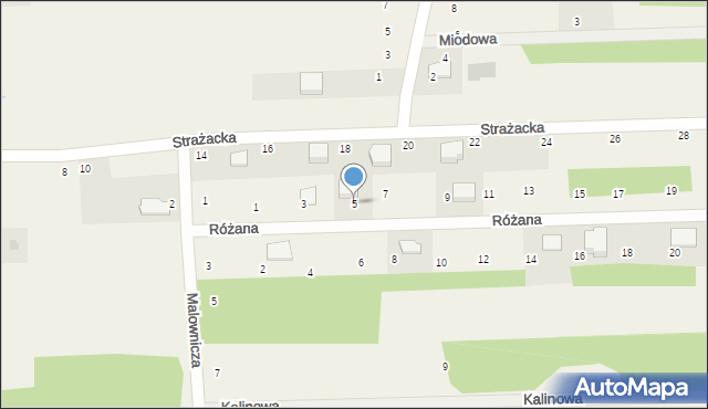Łysiec, Różana, 5, mapa Łysiec