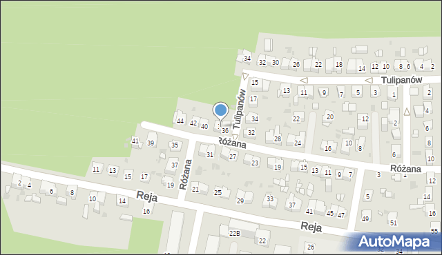 Mysłowice, Różana, 38, mapa Mysłowice
