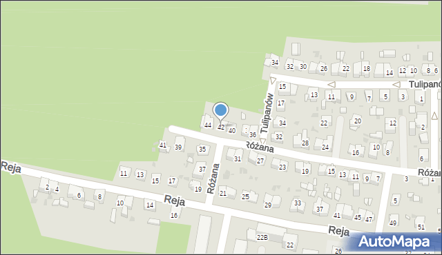 Mysłowice, Różana, 42, mapa Mysłowice