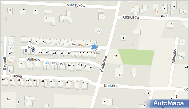 Nowe Bielice, Róż, 1, mapa Nowe Bielice