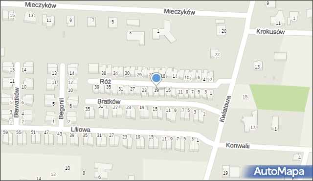 Nowe Bielice, Róż, 19, mapa Nowe Bielice