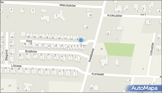 Nowe Bielice, Róż, 3, mapa Nowe Bielice