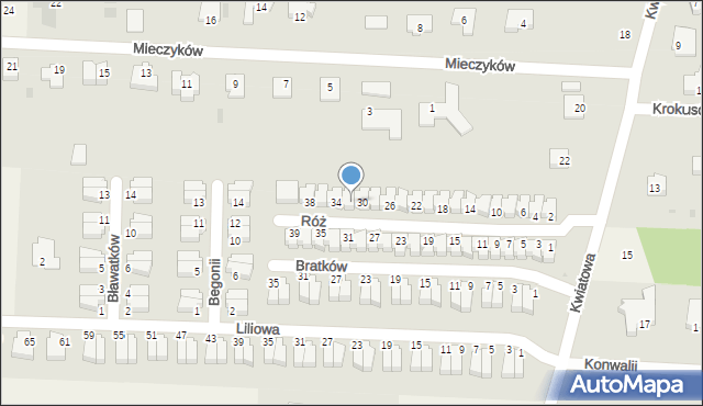Nowe Bielice, Róż, 32, mapa Nowe Bielice