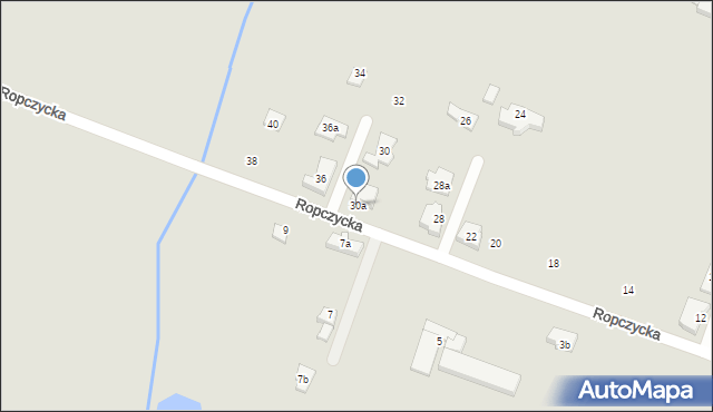 Poznań, Ropczycka, 30a, mapa Poznania