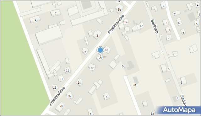 Przytoczna, Rokitniańska, 20, mapa Przytoczna