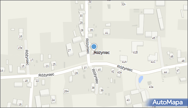 Różyniec, Różyniec, 36, mapa Różyniec