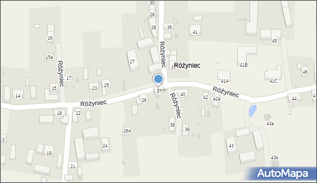 Różyniec, Różyniec, 37, mapa Różyniec