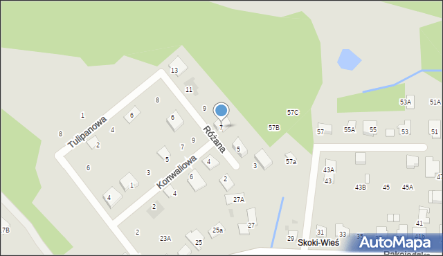 Skoki, Różana, 7, mapa Skoki