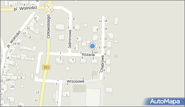 Żychlin, Różana, 5, mapa Żychlin