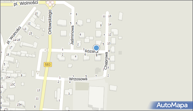 Żychlin, Różana, 8, mapa Żychlin