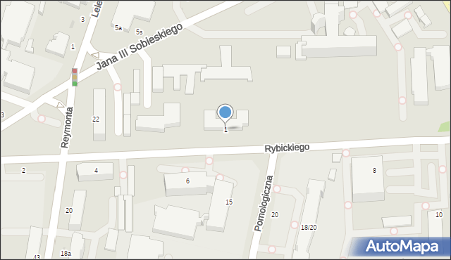 Skierniewice, Rybickiego Stanisława, 1, mapa Skierniewic