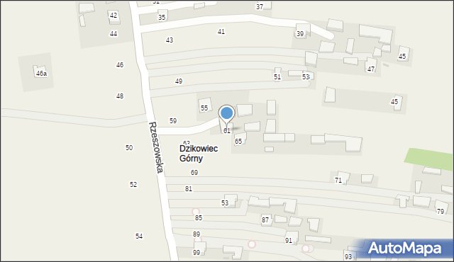 Dzikowiec, Rzeszowska, 61, mapa Dzikowiec