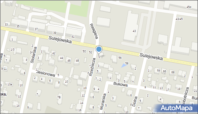 Piotrków Trybunalski, Rzeźnicza, 1, mapa Piotrków Trybunalski