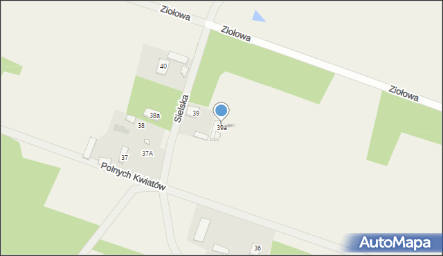 Rżyska, Rżyska, 39a, mapa Rżyska