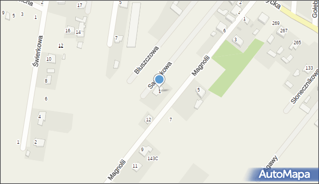 Bielicha, Sasankowa, 1, mapa Bielicha