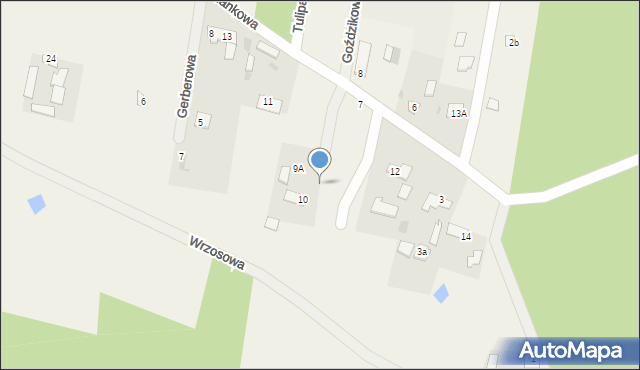 Dąb Polski, Sasankowa, 10a, mapa Dąb Polski