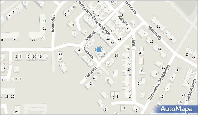 Głogów, Salomei, 1, mapa Głogów