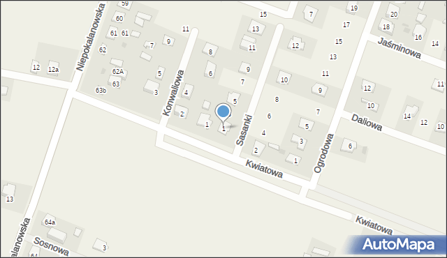 Kampinos A, Sasanki, 1, mapa Kampinos A