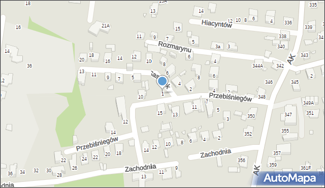 Katowice, Sasanek, 1, mapa Katowic