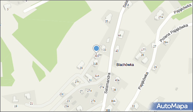 Kościelisko, Salamandra, 31C, mapa Kościelisko