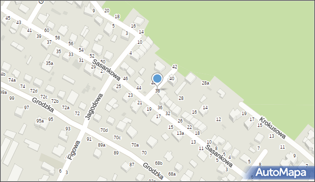 Włocławek, Sasankowa, 38, mapa Włocławka