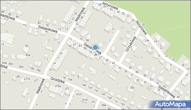 Włocławek, Sasankowa, 49, mapa Włocławka