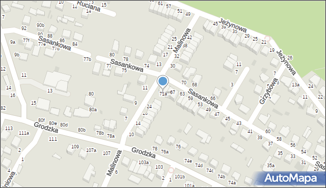 Włocławek, Sasankowa, 71a, mapa Włocławka