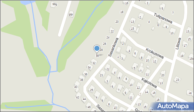 Wodzisław Śląski, Sasankowa, 30, mapa Wodzisławia Śląskiego