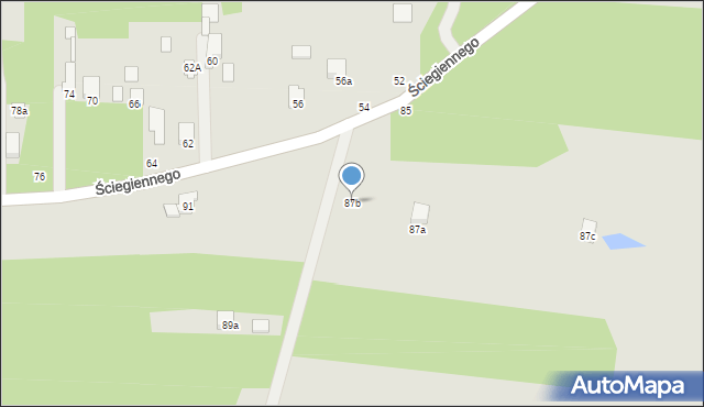 Tuszyn, Ściegiennego Piotra, ks., 87b, mapa Tuszyn