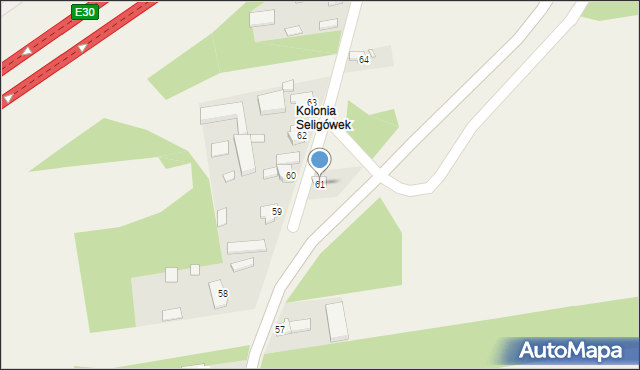 Seligów, Seligów, 61, mapa Seligów