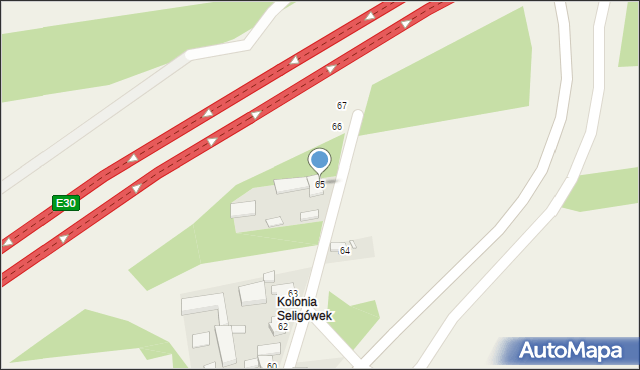 Seligów, Seligów, 65, mapa Seligów