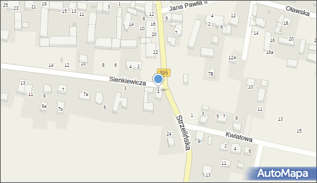 Borek Strzeliński, Sienkiewicza Henryka, 1, mapa Borek Strzeliński