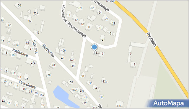 Drobin, Sierpecka, 36a, mapa Drobin
