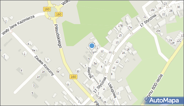 Międzychód, Sienna, 4, mapa Międzychód