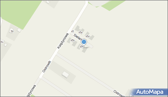 Ostrowik, Sielanki, 8, mapa Ostrowik