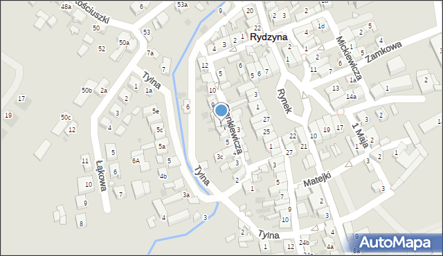 Rydzyna, Sienkiewicza Henryka, 6a, mapa Rydzyna