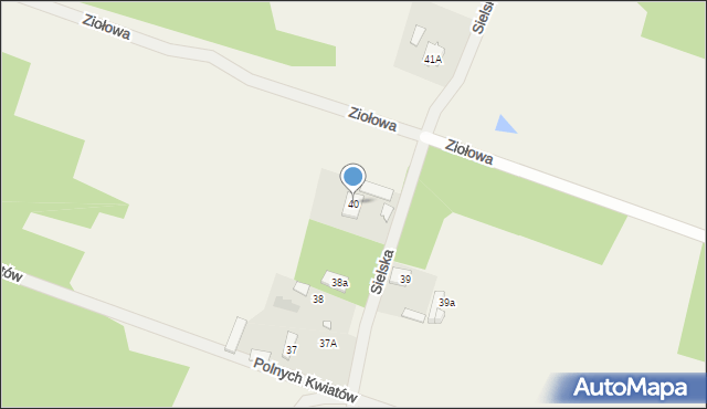 Rżyska, Sielska, 61, mapa Rżyska