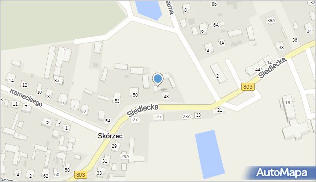 Skórzec, Siedlecka, 48A, mapa Skórzec