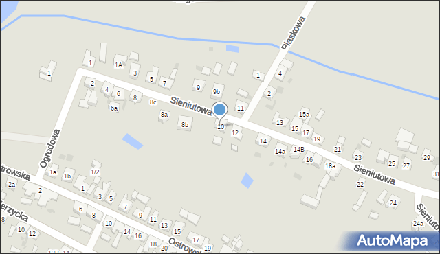 Zduny, Sieniutowa, 10, mapa Zduny