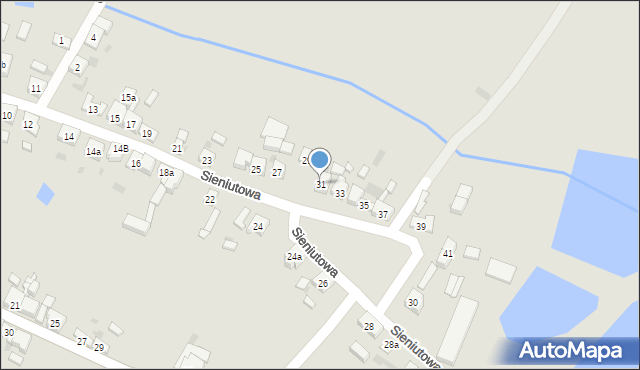 Zduny, Sieniutowa, 31, mapa Zduny
