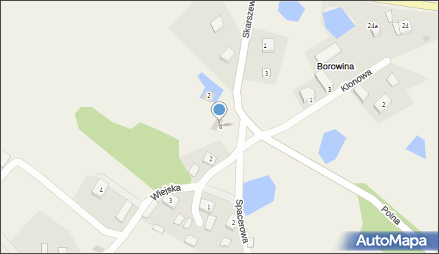 Borowina, Skarszewska, 4, mapa Borowina