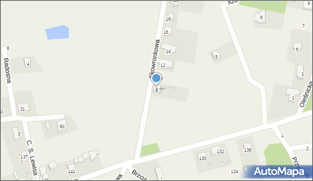 Chrząstawa Wielka, Skowronkowa, 8, mapa Chrząstawa Wielka