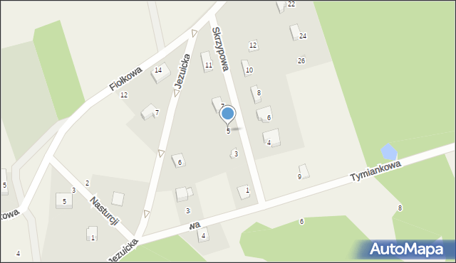 Czapielsk, Skrzypowa, 5, mapa Czapielsk