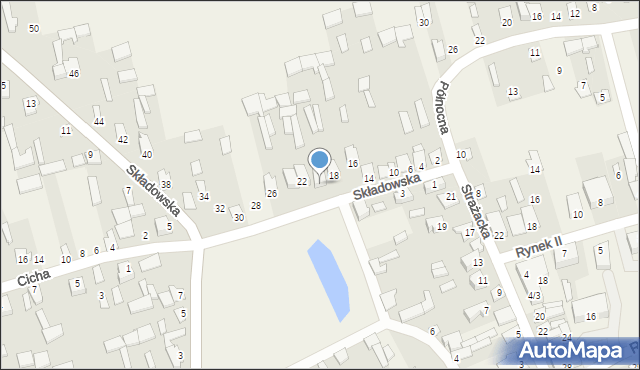 Michów, Składowska, 20, mapa Michów