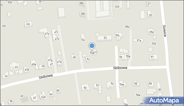 Poznań, Skibowa, 51a, mapa Poznania